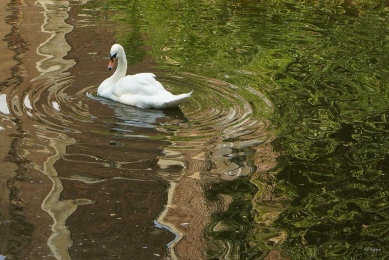 bdFoto 17.JPG - Born kasteelpark